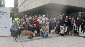 Ara Mollet proposa crear una regidoria pel respecte animal